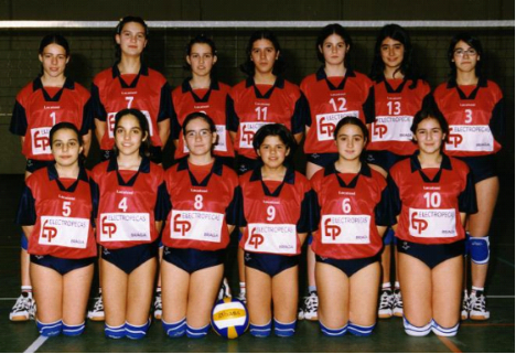 voleibol